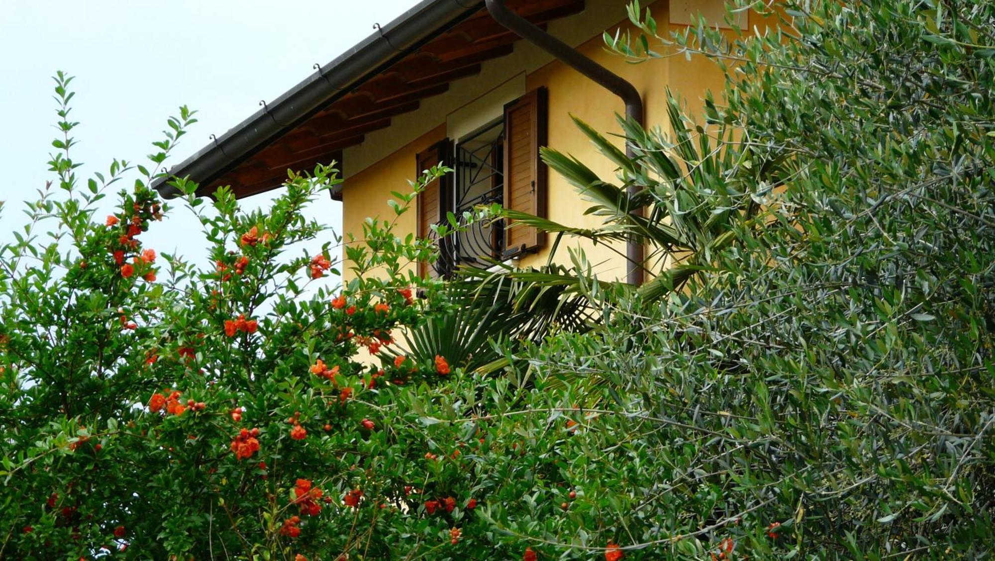 Albergo Le Piante Manerba del Garda Extérieur photo